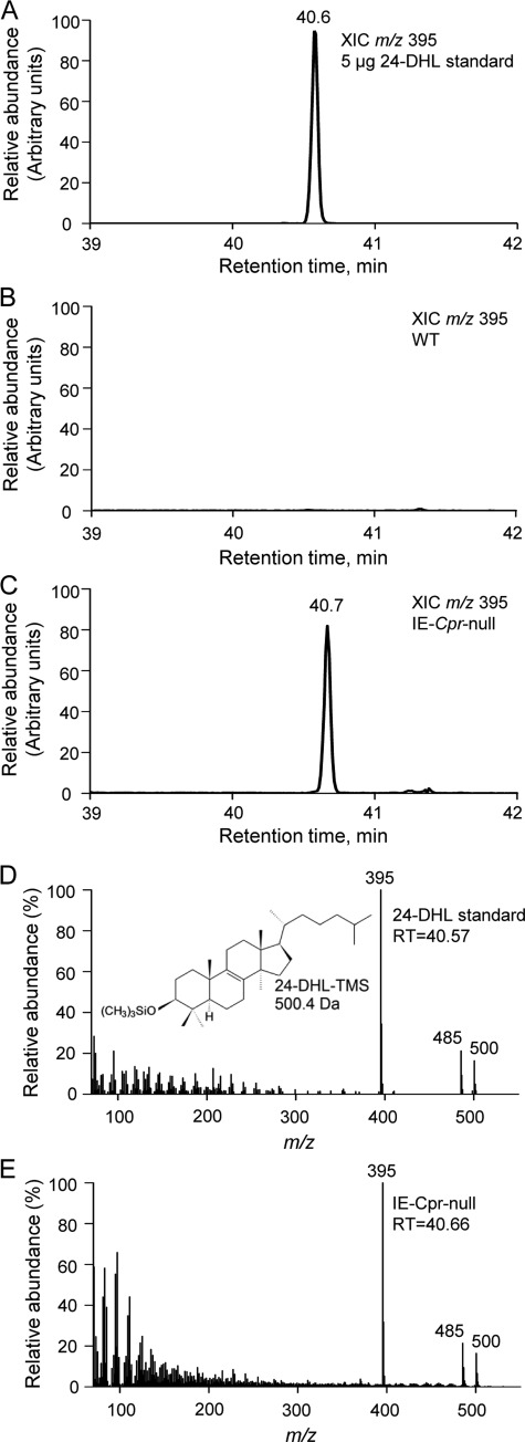 FIGURE 1.