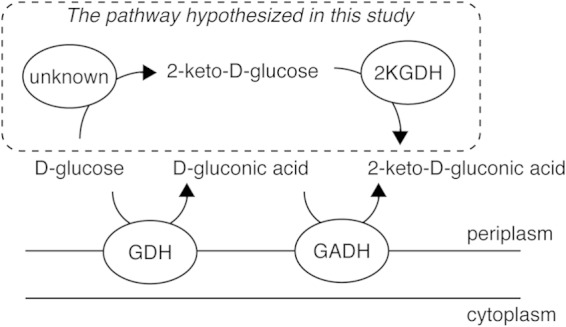 FIG 5