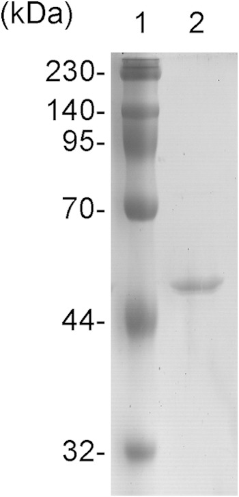 FIG 2