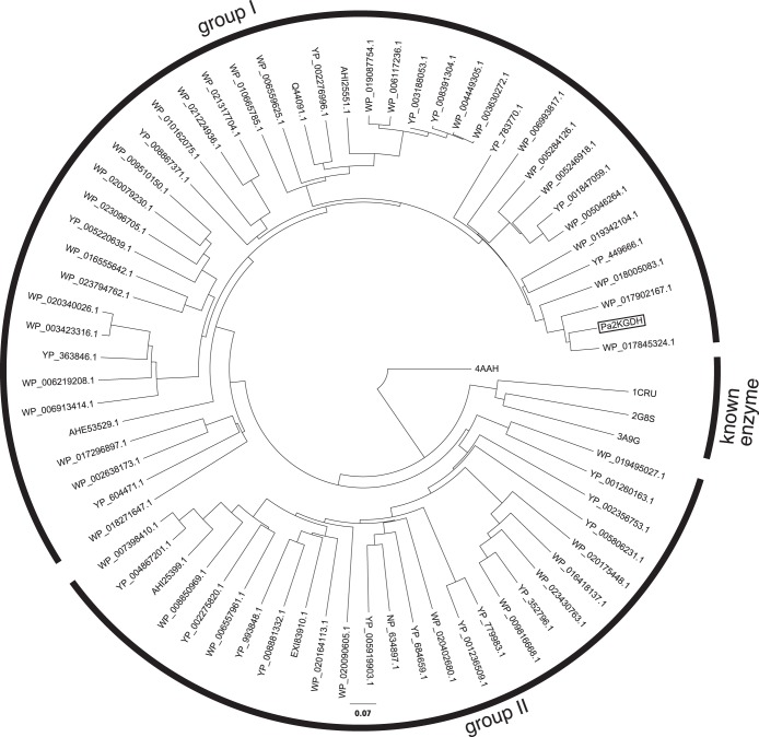 FIG 6