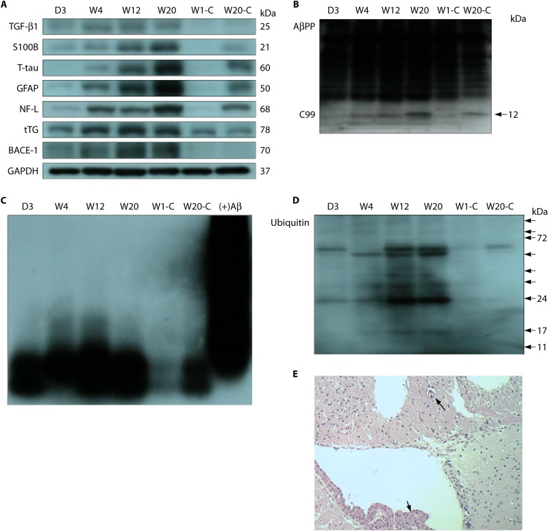 FIG 3