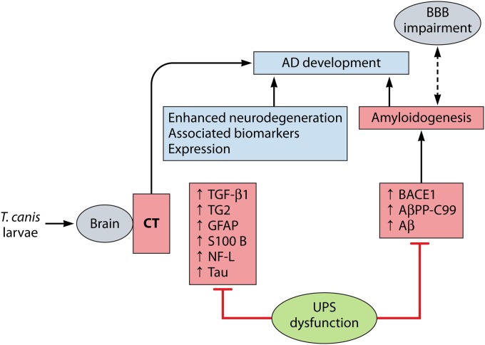 FIG 4