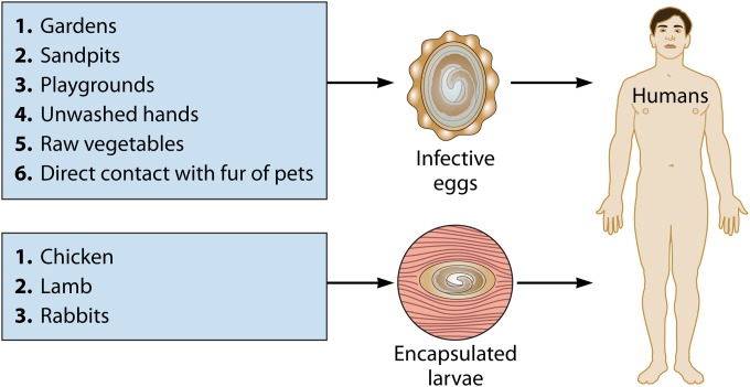 FIG 1