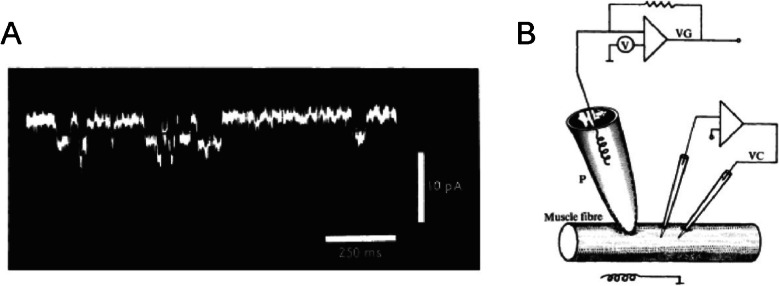 Fig. 2