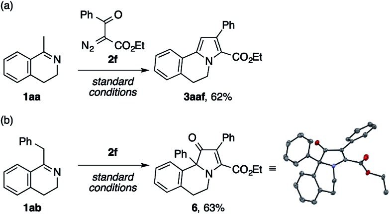 Scheme 5