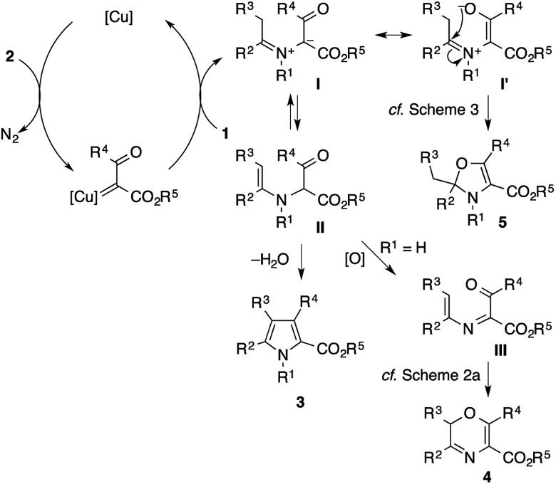 Scheme 8