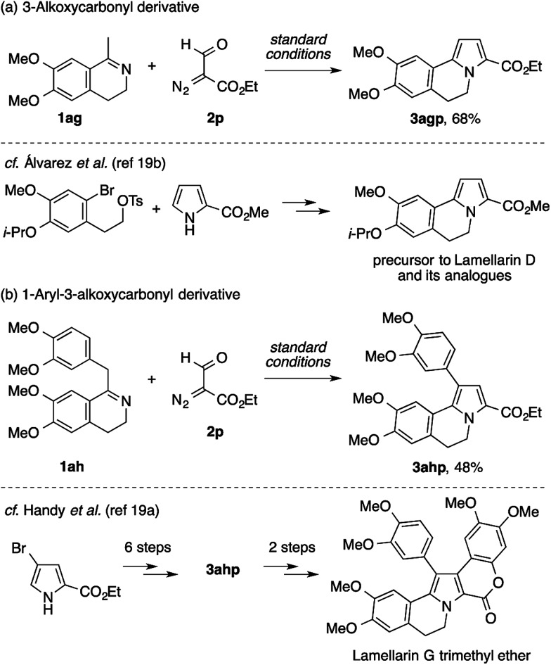 Scheme 6