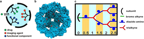 Figure 11