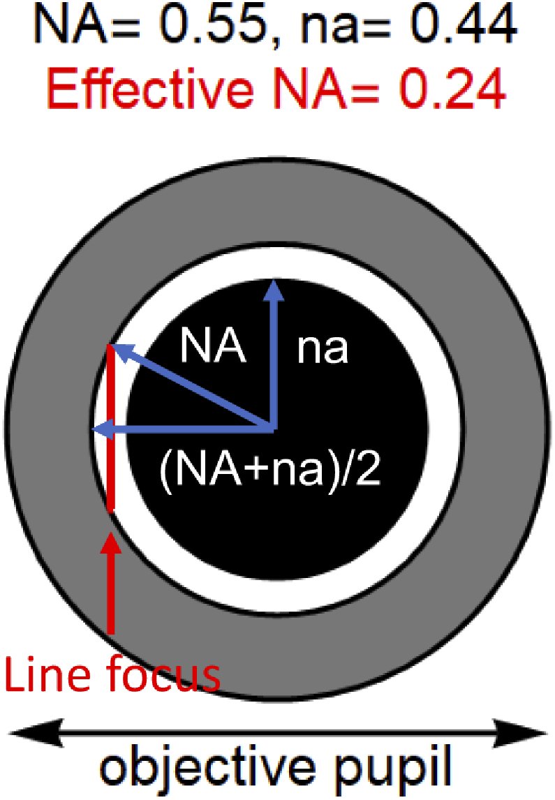 Fig. 8.