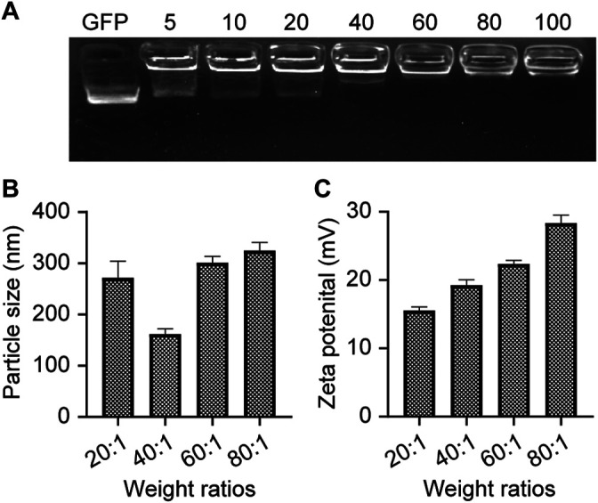 FIGURE 2