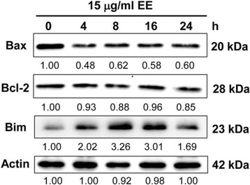 Fig. 5