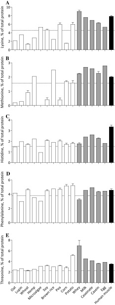 Fig. 4