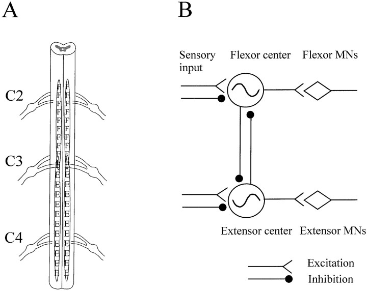 Fig. 11.