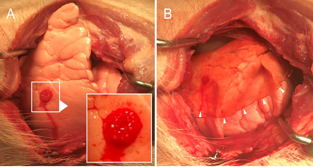 FIGURE 1: