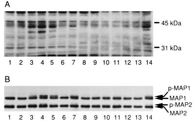 FIG. 6