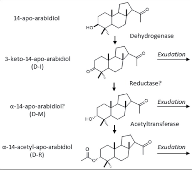 Figure 5.