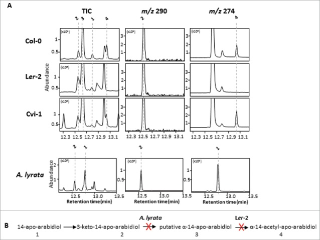 Figure 6.