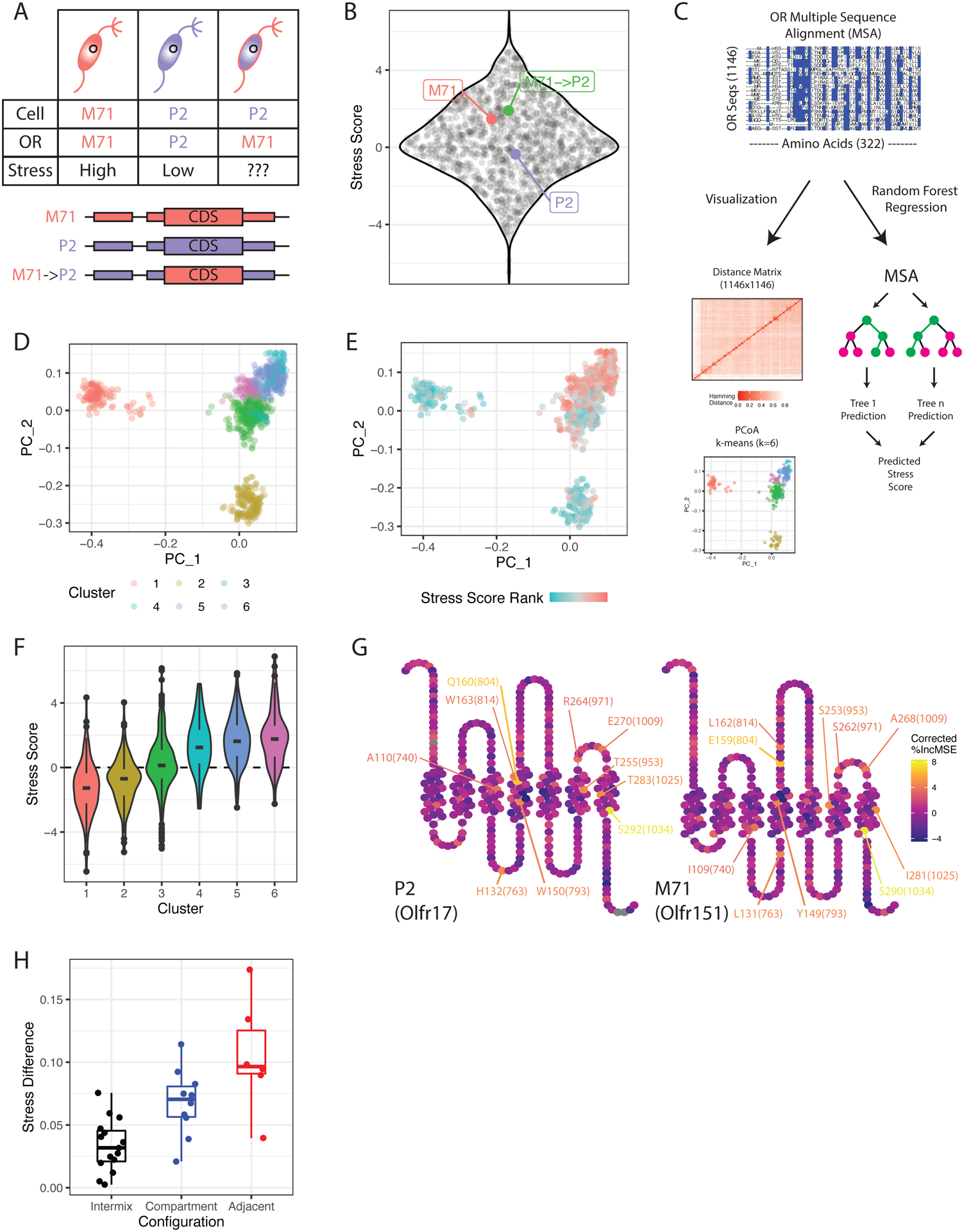 Figure 2: