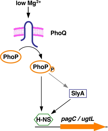 FIGURE 1.