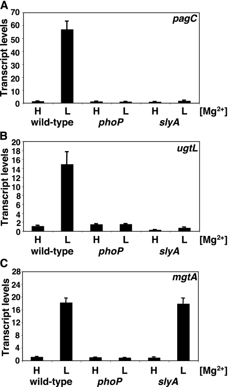 FIGURE 2.