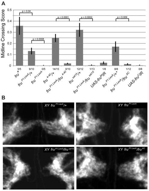 Fig. 4.