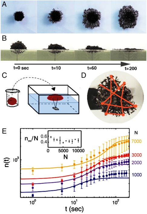 Fig. 3.