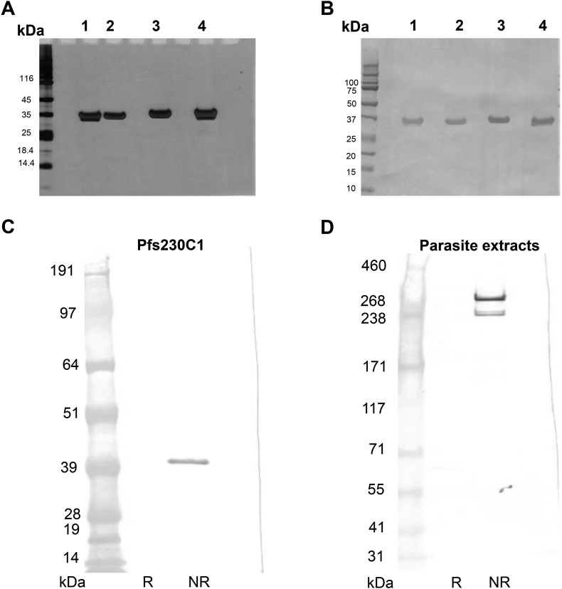 Fig. 5