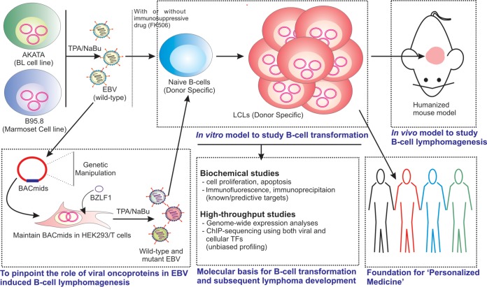 FIG 2