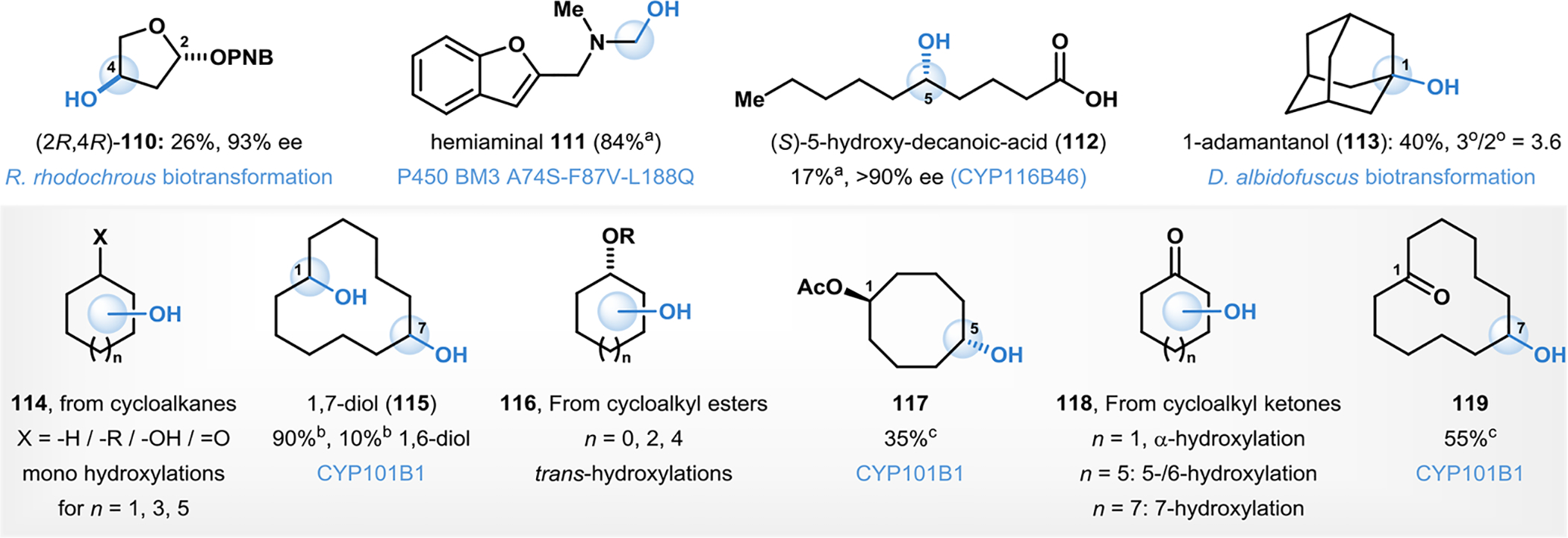 Figure 10.