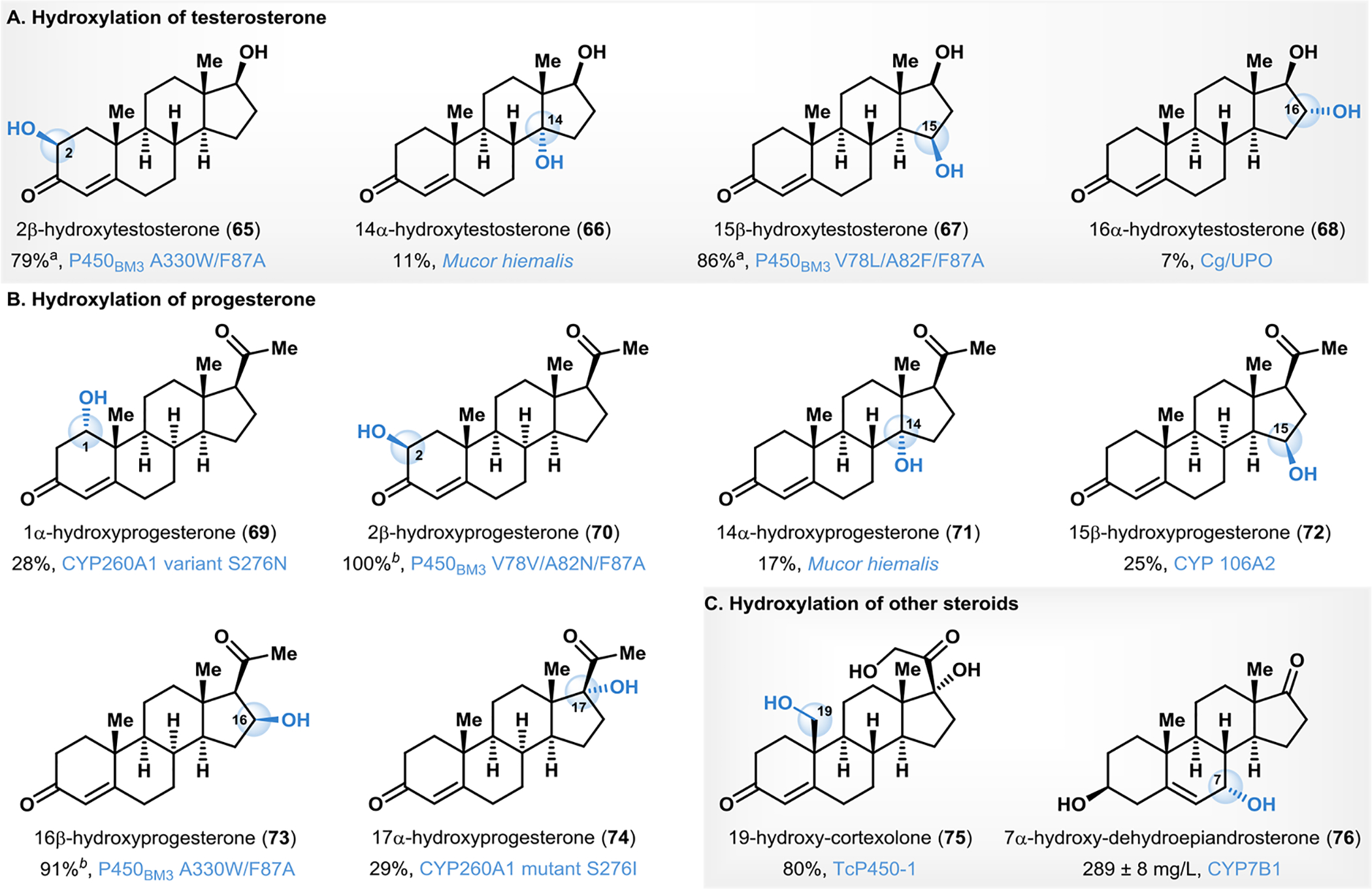 Figure 6.