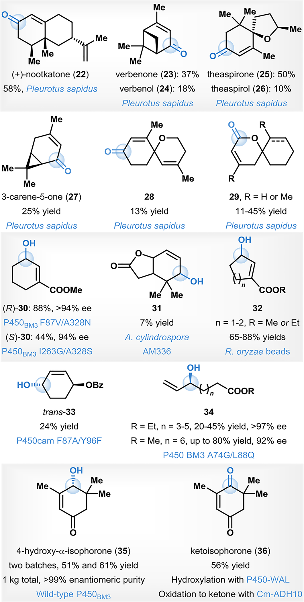 Figure. 3.