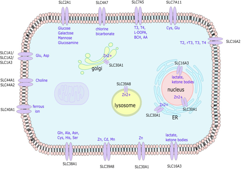 Figure 1