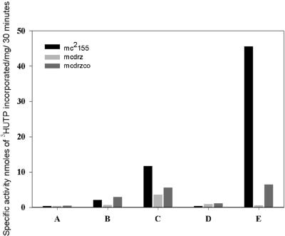 FIG. 2.