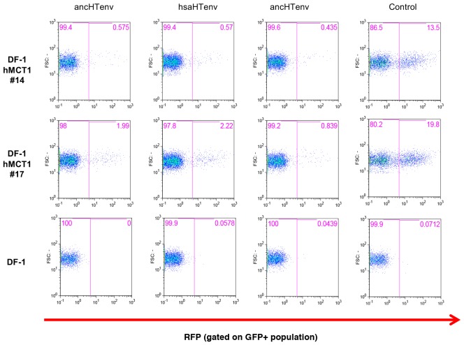 Figure 6—figure supplement 1.