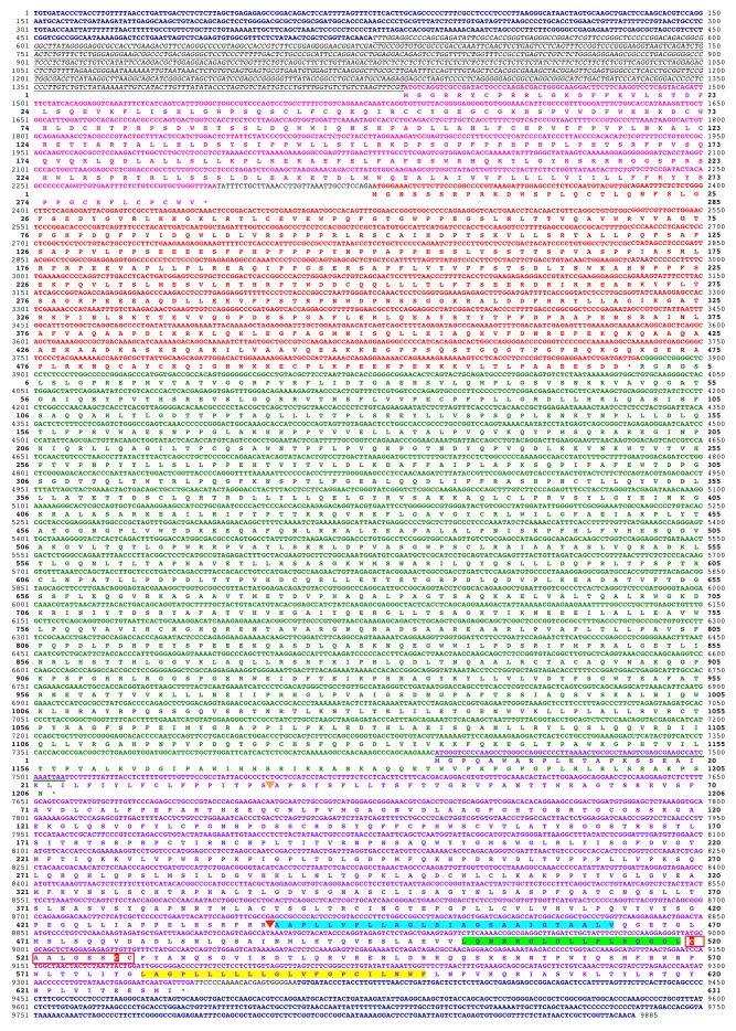 Figure 1—figure supplement 2.