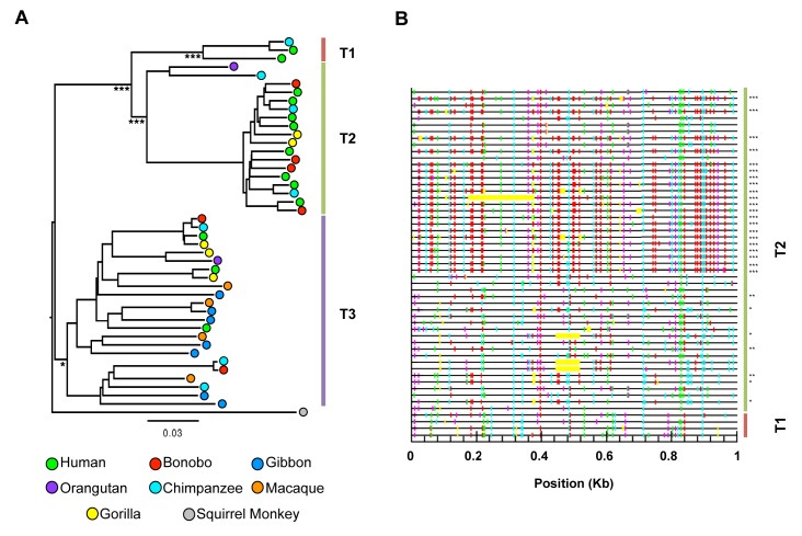 Figure 1—figure supplement 1.