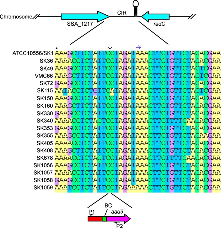 FIG 6