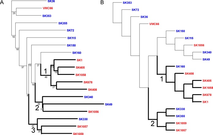 FIG 2