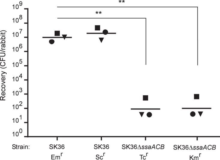 FIG 4