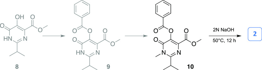 Scheme 2