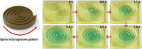 Fig. 10