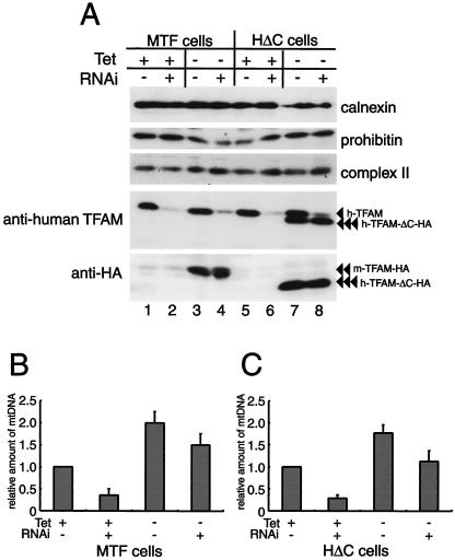 FIG. 5.