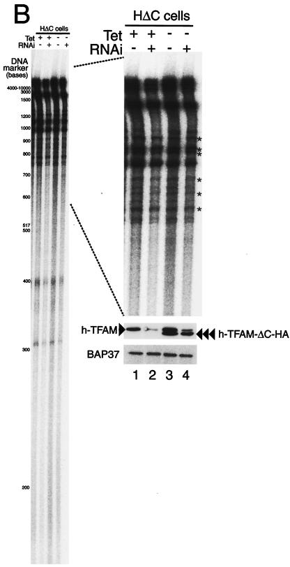 FIG. 6.