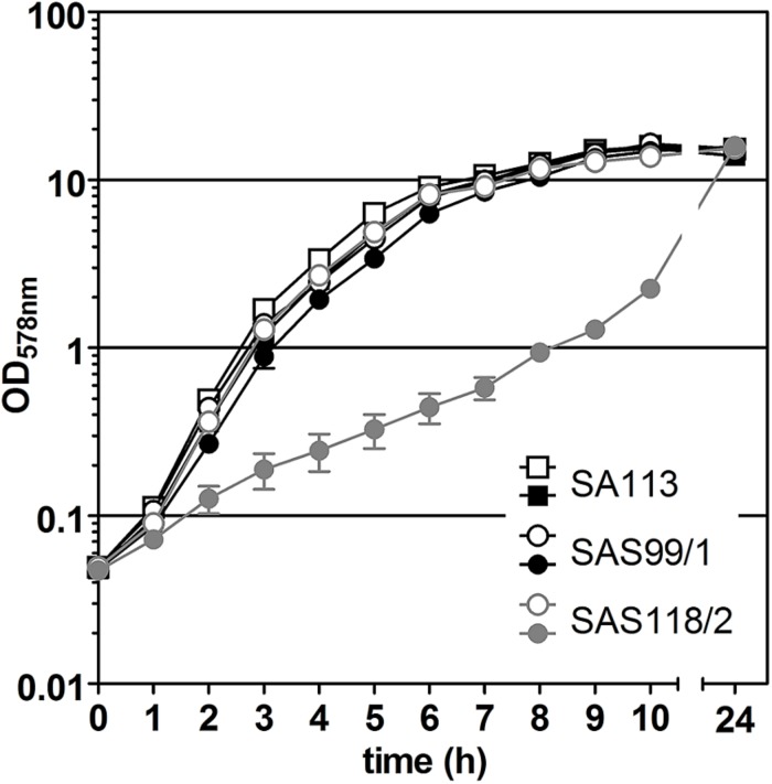 FIGURE 3