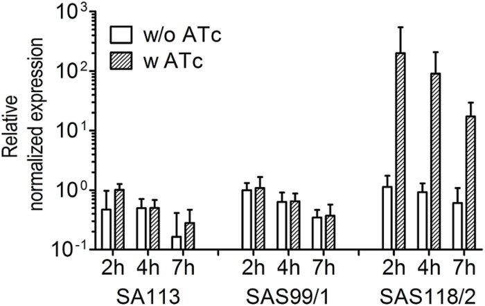 FIGURE 5