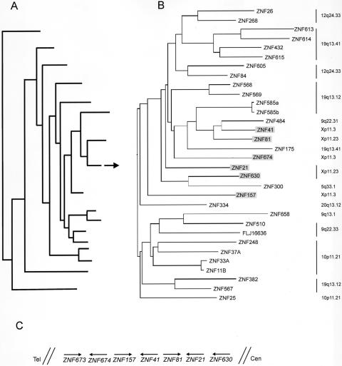 Figure  6