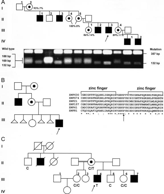 Figure  4