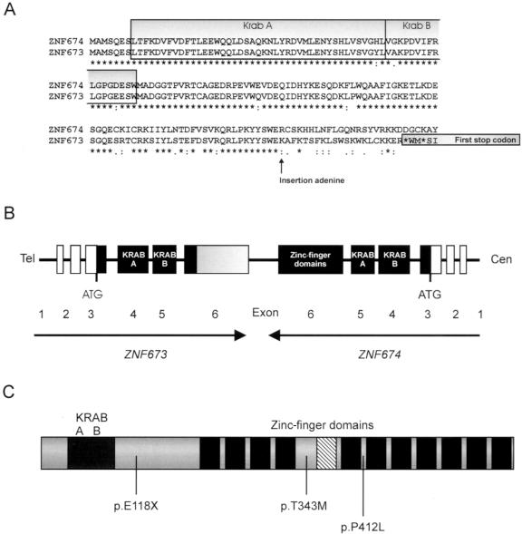 Figure  3