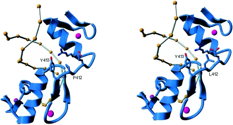 Figure  5