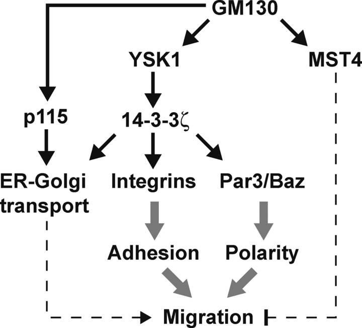 Figure 10.